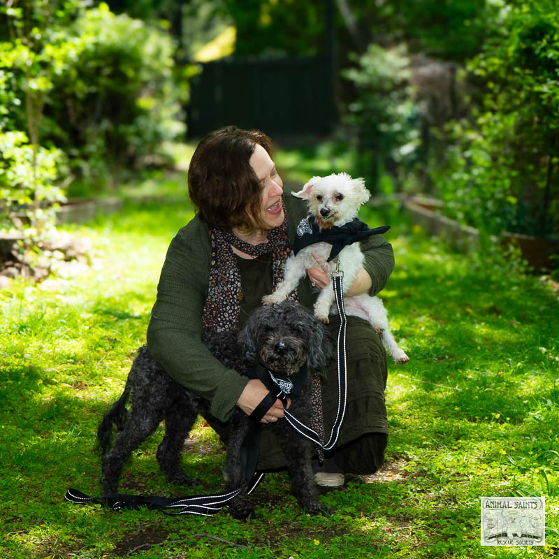 Cynthia with Lou and Layla on their adoption day.