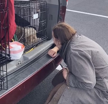 CYNTHIA IVEY Abitz meets George, a shih tzu in need.