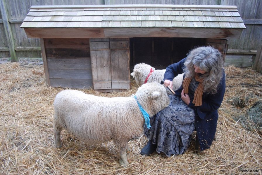 Cindy, owner of Saturday Farm, makes every part of her life as authentic as her Baa Boys. In her search for authentic clothing, she learned about Ivey Abitz garments through a friend’s recommendation.