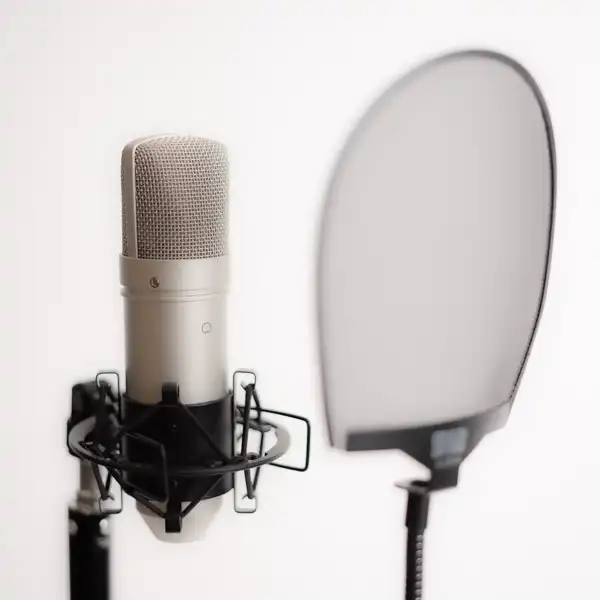 Fabric Swatches 2026 More Collection by Ivey Abitz