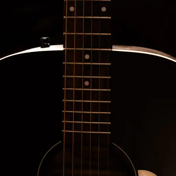 acoustic guitar