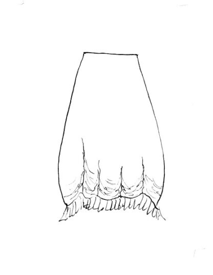 Cozette Skirt